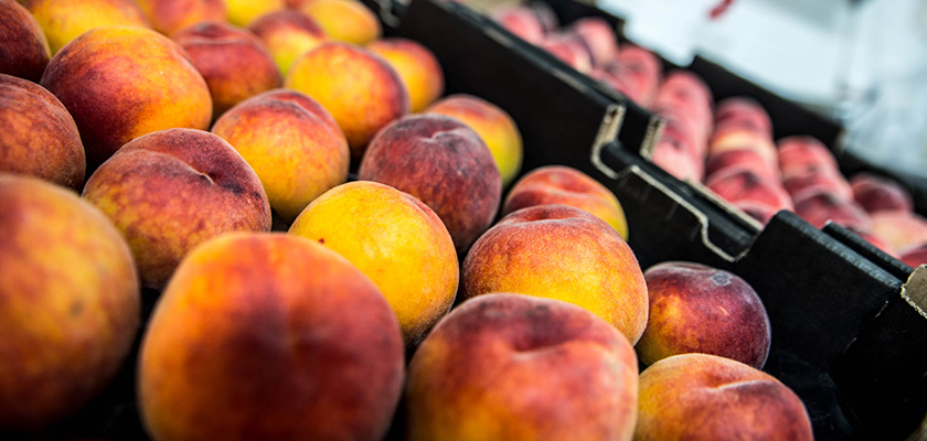 Swanbourne Market — Stone Fruit Season